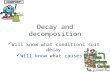 Decay And Decomposition