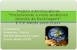 Projeto interdisciplinar "Preservando o meio ambiente através da reciclagem"