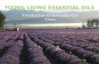 Young Living Everyday Oils