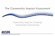 Session 31: The Community Impact Assessmemt