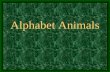 C:\Documents And Settings\Win Xp\My Documents\Aaaa\Slide Show\Animal Alphabet