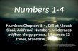 Numbers 1-4, Still at Mount Sinai, Arithmoi, Numbers, wilderness miḏbar, clergy priests, 14 names 12 tribes, Standards, Banners