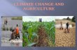 Climate Change and Agriculture by Muhammad Qasim & Aroj Bashir