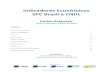 Indicadores Economicos SPC Brasil e CNDL