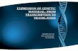 Expression of genetic material : From Transcription to Translation