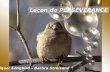 Leçon des Oiseaux