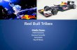 Red bull presentation