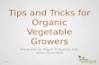 Tips and tricks for organic vegetable gardeners slideshare