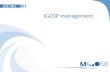 IGCDP Management