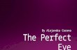 The perfect-eye1