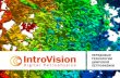 Общая презентация IntroVision
