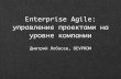 Enterprise Agile