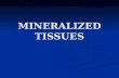 Mineralized tissues (1)
