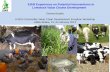 EIAR experience on potential interventions in livestock value chains development
