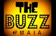 The Buzz 7.3