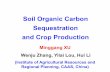 Xu Minggang — Soil organic carbon sequestration and crop production