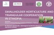 Fao smallholder horticulture and triangular cooperation in ethiopia