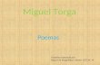 Miguel Torga - Poemas