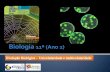 BG 21 - Evolução Biológica (unicelularide e multicelularidade)