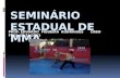 SEMINÁRIO ESTADUAL DE MMA