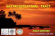 Muhammadiyah - GastrointestinalTract