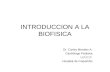 INTRODUCCION A LA BIOFISICA Dr. Carlos Morales A. Cardiólogo Pediatra U.P.C.P. Hospital de Coquimbo.