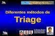 SM Diferentes métodos de Triage A. Serrano Moraza A. Serrano Moraza María Jesús Briñas Freire Andrés Pacheco Rodríguez Alejandro Pérez Belleboni .