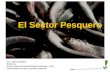 El Sector Pesquero Dra. Patricia Majluf Directora Centro para la Sostenibilidad Ambiental - CSA Universidad Peruana Cayetano Heredia.