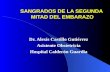 SANGRADOS DE LA SEGUNDA MITAD DEL EMBARAZO Dr. Alexis Castillo Gutiérrez Asistente Obstetricia Hospital Calderón Guardia.