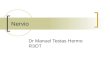 Nervio Dr Manuel Testas Hermo R3OT. Descripción general 4 regiones definidas Cuerpo celular Dentritas Axon Botón presinaptico.