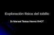 Exploración física del tobillo Dr Manuel Testas Hermo R4OT.