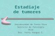 Estadiaje de tumores Universidad de Costa Rica Servicio de Patología HSJD Dra. Yetty Vargas S.