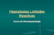 Hiperplasias Linfoides Reactivas Curso de Hematopatología.
