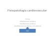 Fisiopatología cardiovascular Temas -Alteraciones cardiaca -Insuficiencia cardiaca -Insuficiencia coronaria y circulatoria Taller.