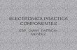 ELECTRONICA PRACTICA COMPONENTES ESP. DIANY PATRICIA MENDEZ.
