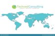 Techved consulting (company profile)