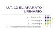 U.T. 12 EL APARATO URINARIO 1. Anatomía 2. Fisiología 3. Patología 4. Procedimientos relacionados.