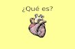 ¿Qué es? el corazón ¿Qué es? desarrollar ¿Qué es?