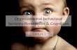 Organizational behaviour Perception & Cognition, lecture two