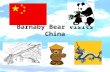 Barnaby bear visits_china[1]-1