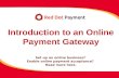 Online Payment Gateway-Red Dot Payment