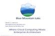 Cloud Computing and Enterprise Architecture