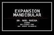 Expansion Mandibular