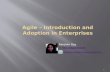 Agile introduction and adoption in enterprises
