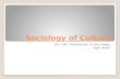 Sociology of culture