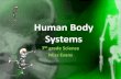 Human body systems for kids