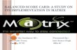 project report on matrix cellular services