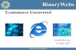 BinaryWebs E-Commerce Presentation