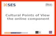 Cultural Points of View Online Component