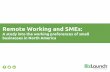 Remote working and sme's  does working remotely boost or inhibit the productivity of small businesses?